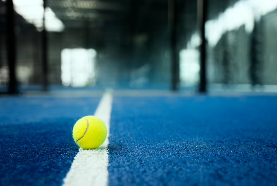 Official pickleball organizations and websites